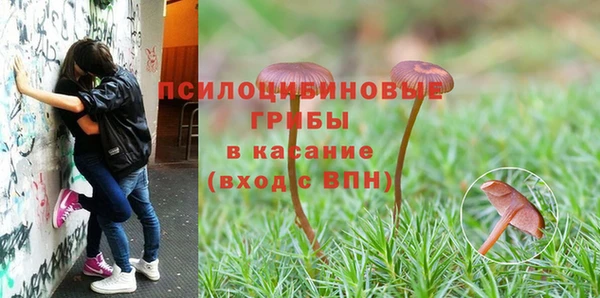 дурь Фурманов