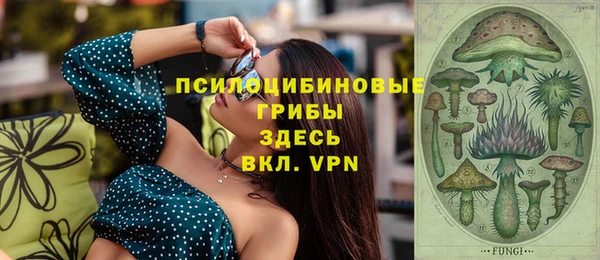 spice Гусев