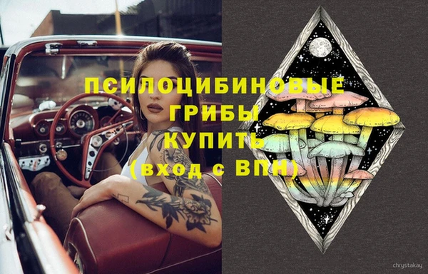 spice Гусев