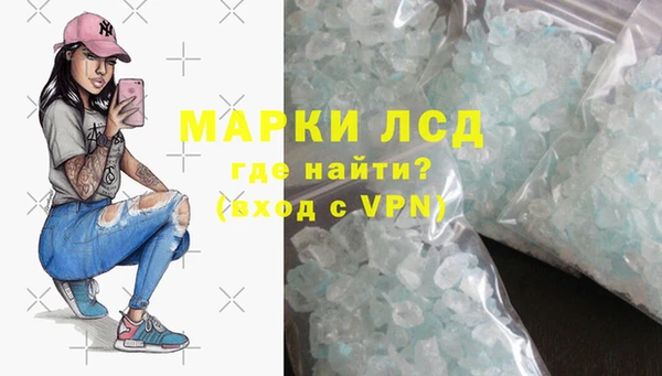 spice Гусев