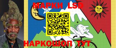 индика Кандалакша