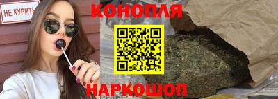 индика Кандалакша