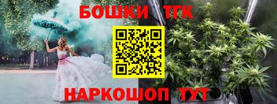 индика Кандалакша