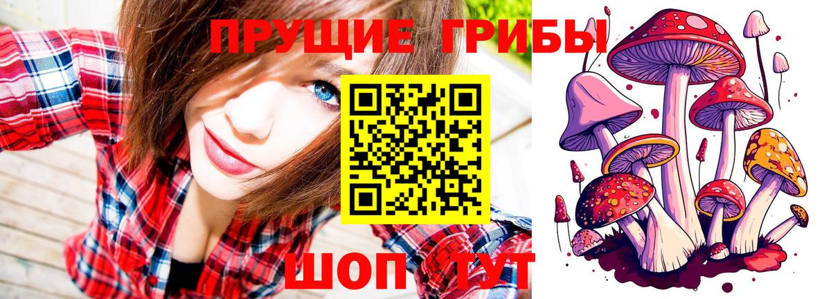 Галлюциногенные грибы Magic Shrooms Сальск