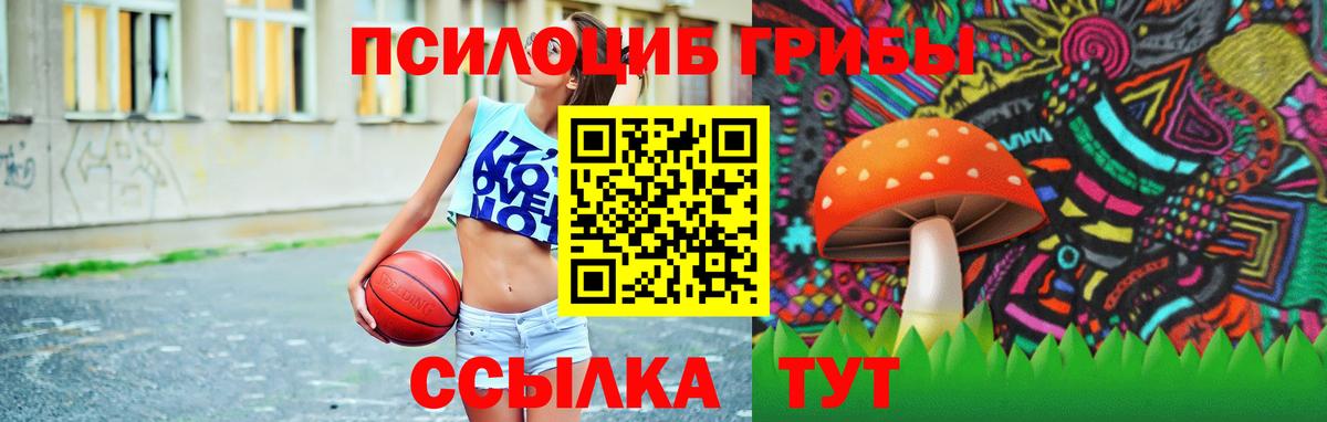 Галлюциногенные грибы прущие грибы  Вход с VPN  купить наркоту  Сальск 